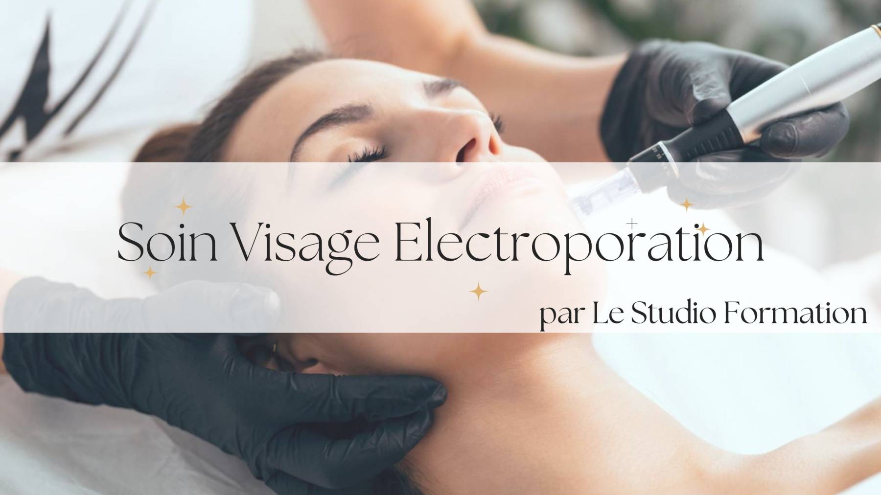 Formation Electroporation Bordeaux - 1 jour